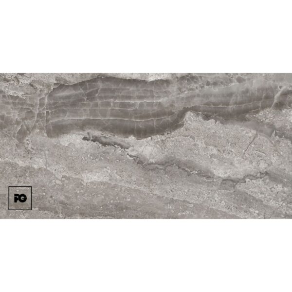 Close-up of gray sedimentary rock with visible layered strata and rough texture; pg logo in bottom-left corner.