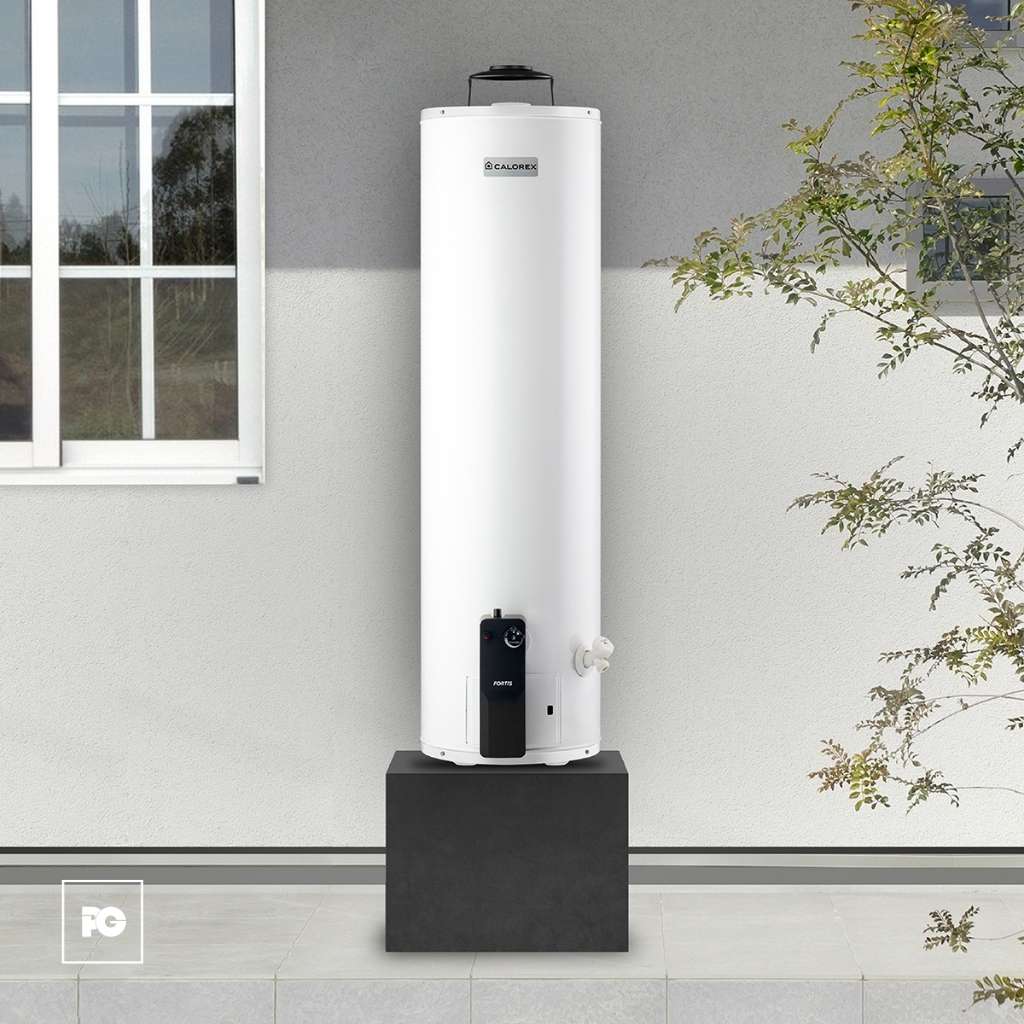 Boiler de depósito Fortis de gas LP para 2 servicio. - Imagen 3