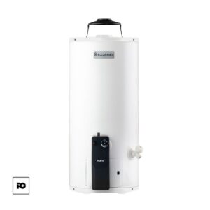Boiler de depósito Fortis de gas natural para 1 servicio.