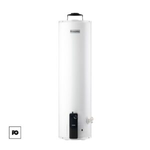 Boiler de depósito Fortis de gas natural para 2 servicio.